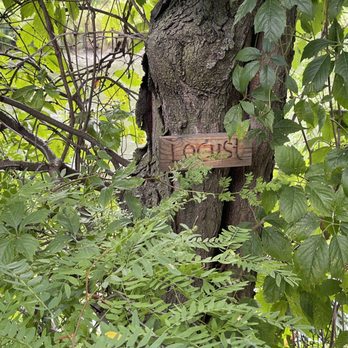 Riverbank Neighbors Park - Parks Near Me - Chicago, Illinois