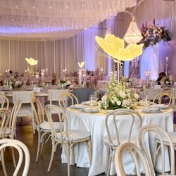 Silverio's Party Rental - Bentwood Chairs , Table Scape , Pipe and Drape , Flower Center Pieces