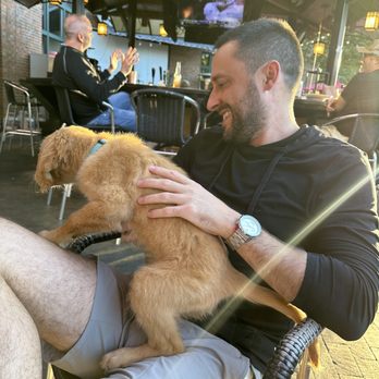 The Harp And Crown Pub And Kitchen - Pet friendly - outdoors - Irish Pub Near Me - Cornelius, North Carolina The Harp And Crown Pub And Kitchen - Pet friendly - outdoors - Irish Pub Near Me - Cornelius, North Carolina