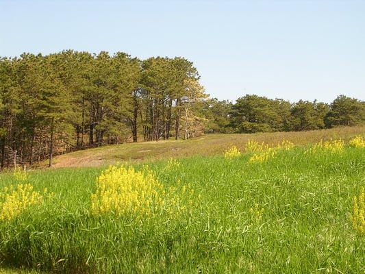 Mass Audubon Wellfleet Bay Wildlife Sanctuary by null
