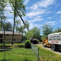 Lawns to Limbs Tree and Crane Services