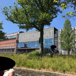 Patronaat - Patronaat