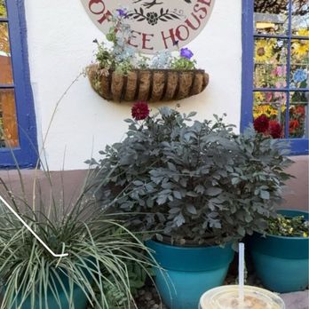 Blackbird Coffee House - Outdoor patio - iced lavender oat milk latte - Coffee & Tea Near Me - Albuquerque, New Mexico
