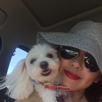 Puppy 4 U - My Molly - Pet Groomers Near Me - Los Angeles, California