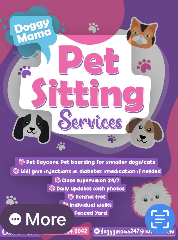 DOGGY MAMA Updated October 2024 Kingston, Ontario Pet Boarding