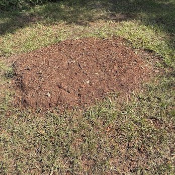 Arbor Tech 904 - What was left after the tree removal and stump grinding. - Tree Services Near Me - Jacksonville, Florida Arbor Tech 904 - What was left after the tree removal and stump grinding. - Tree Services Near Me - Jacksonville, Florida