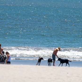 Coronado Dog Beach - Beaches Near Me - Coronado, California Coronado Dog Beach - Beaches Near Me - Coronado, California