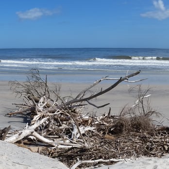 Little Talbot Island State Park - Beaches Near Me - Jacksonville, Florida Little Talbot Island State Park - Beaches Near Me - Jacksonville, Florida