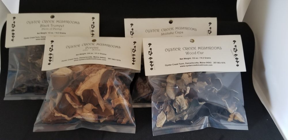 Oyster Creek Mushroom Company Logo