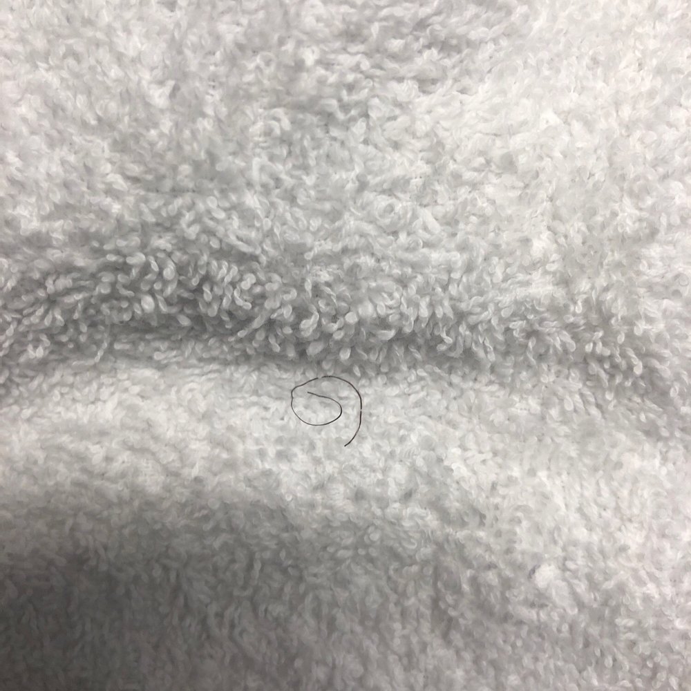 Pubic hairs in the face towels so disgusting I hated I ever stayed here Pubic hairs in the face towels so disgusting I hated I ever stayed here