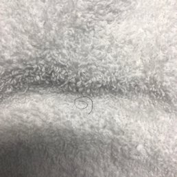 Pubic hairs in the face towels so disgusting I hated I ever stayed here Pubic hairs in the face towels so disgusting I hated I ever stayed here