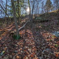 Storm King State Park
