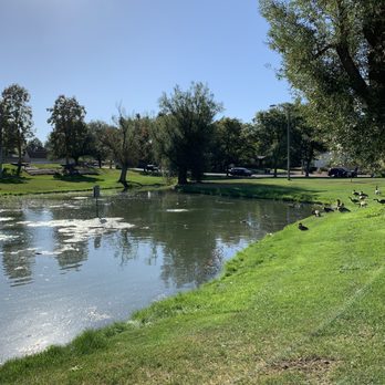 Cushing Park - Ducks swimming in the pond - Parks Near Me - Englewood, Colorado
