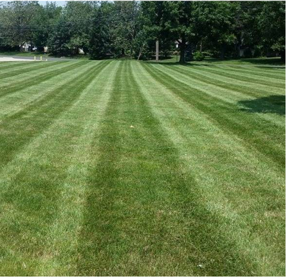 SOVOCOOL LANDSCAPING Updated August 2024 Hatfield, Pennsylvania