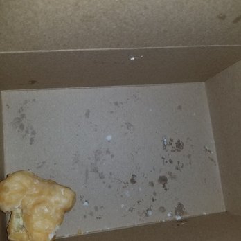 Christy Donuts - One lonely survivor.... hey who ate my donuts??? - Donuts Near Me - San Jose, California Christy Donuts - One lonely survivor.... hey who ate my donuts??? - Donuts Near Me - San Jose, California