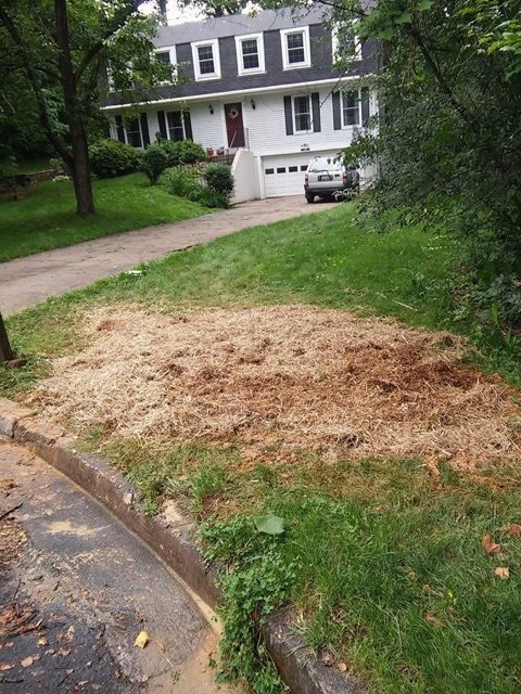 Slide of Alexander & Sons