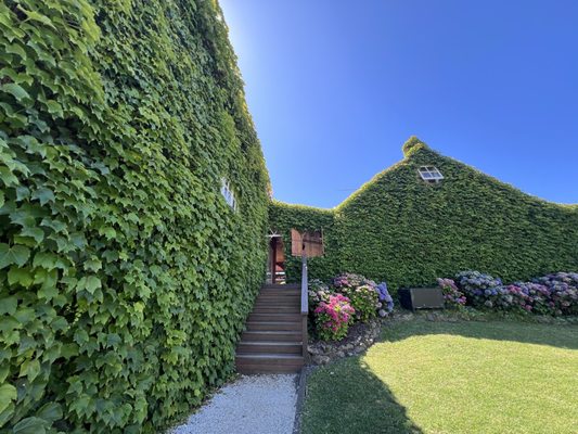 Stonyridge Vineyard by null