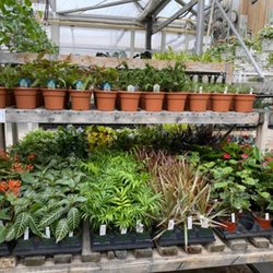 The Greenery Garden Centre