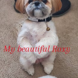 Love my Roxy Love my Roxy
