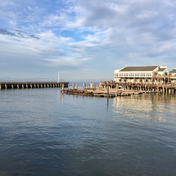 PIER 39 - Sea lions - VN - Shopping Centers Near Me - San Francisco, California