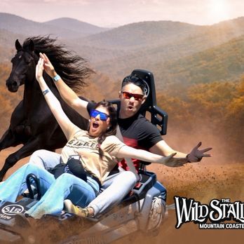 The Wild Stallion Mountain Coaster - Amusement Parks Near Me - Pigeon Forge, Tennessee The Wild Stallion Mountain Coaster - Amusement Parks Near Me - Pigeon Forge, Tennessee