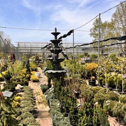 Rosie’s Gardens & Hughes Landscape
