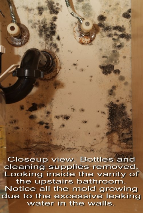 Slide of Performance Home Improvement