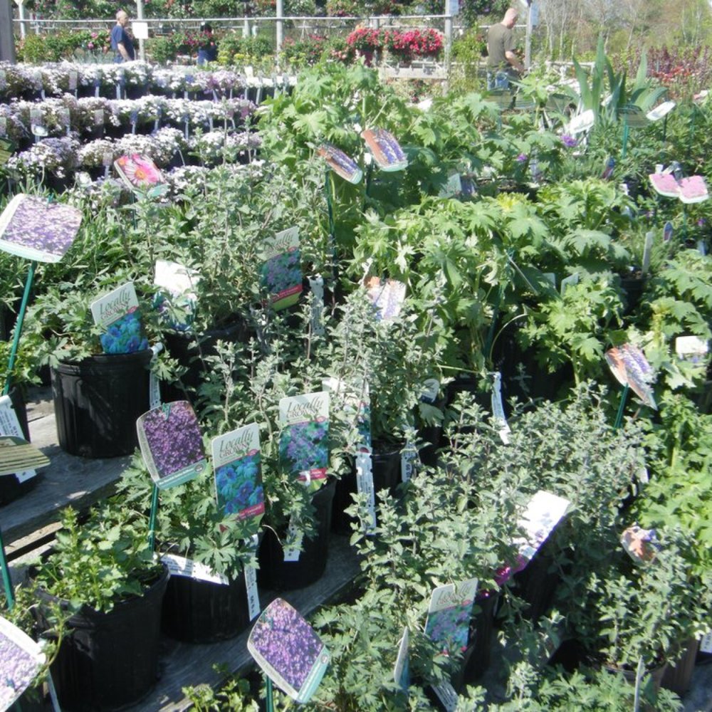 Warren's Bargains Galore - Shopping Near Me - Exeter, Rhode Island