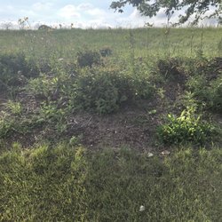 Lake Park Estates Apartments - No one has been taken care of the grounds here at all there's weeds growing everywhere and it looks really bad