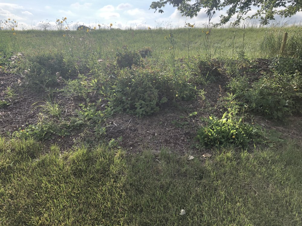 Lake Park Estates Apartments - property management company in De Pere, WI