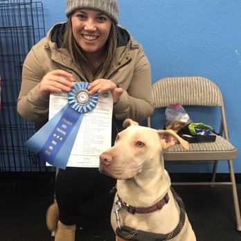 Tailored Dog Training - Pet Training Near Me - Concord, California