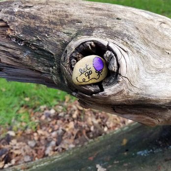 Arcade Creek Park Preserve - Sacto Cali Rocks - rocked this park - Spreading JOY one rock at a time. - Parks Near Me - Citrus Heights, California