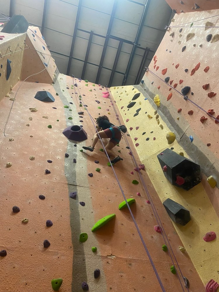 MOVEMENT TIMONIUM Updated September 2024 43 Photos & 36 Reviews