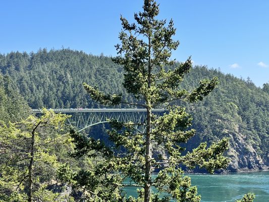 Deception Pass Bridge by null