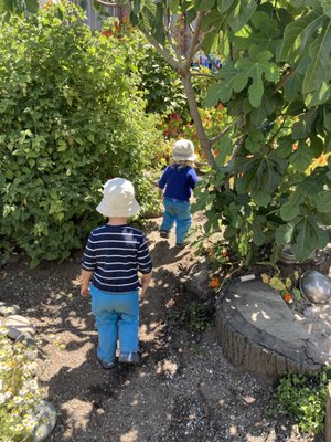 Children's Sunflower House & Garden by null