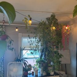Inside of the Salon