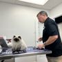 Photo of Acorn Veterinary Clinic