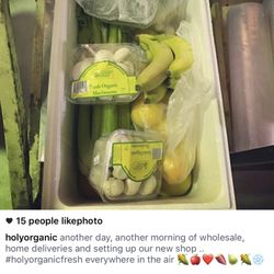 Holy Organic