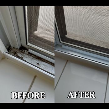 Total Care Cleaning Services - Home Cleaning Near Me - Saint Louis, Missouri Total Care Cleaning Services - Home Cleaning Near Me - Saint Louis, Missouri