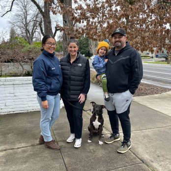 Lorenzo's Dog Training Team - Pet Training Near Me Lorenzo's Dog Training Team - Pet Training Near Me