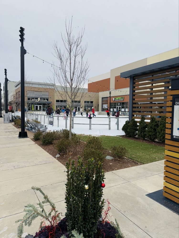 Stonebridge Ice Link