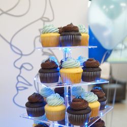 Rosebud Gourmet Cupcakes - Classic Vanilla and Dark Chocolate Ganache