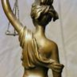 The Norman Law Group