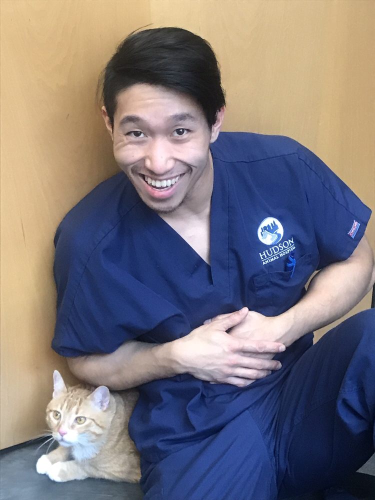 HUDSON ANIMAL HOSPITAL 18 Photos & 124 Reviews 238 W 61st St, New