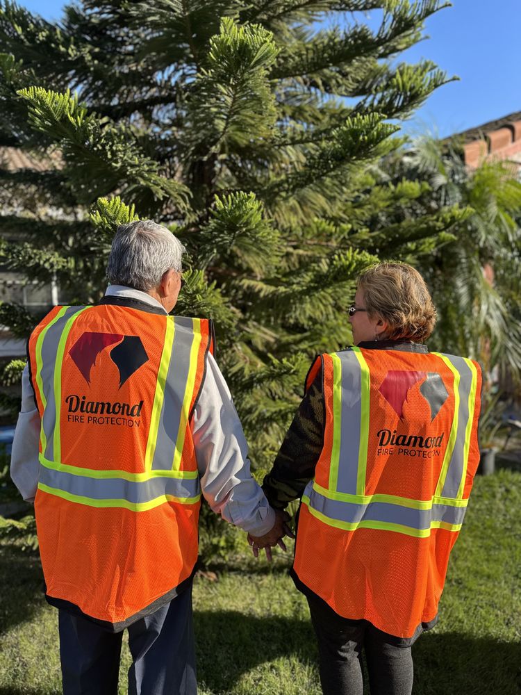 DIAMOND FIRE PROTECTION Request Consultation 29139 Brittbush, Lake