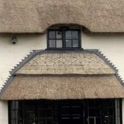The Ginger Fox - from website