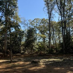 Around the Grounds Tree Service - This is where a stack of 8-12 trees laid after the storm. Now is a newly opened space that can be used for other things.