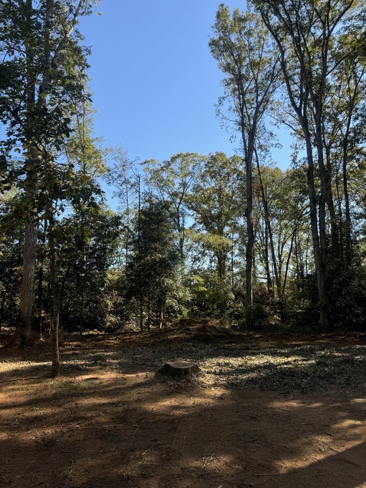 Around the Grounds Tree Service - tree service in Belton, SC