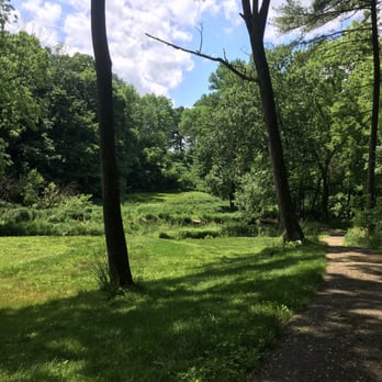 Meadows Apartments - Wooded area opens up to a meadow. Such a great walking/running trail! - Apartments Near Me - Emmaus, Pennsylvania Meadows Apartments - Wooded area opens up to a meadow. Such a great walking/running trail! - Apartments Near Me - Emmaus, Pennsylvania