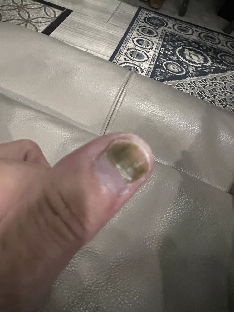 1 GALLUP NAILS & SPA Updated September 2024 12 Photos 1369 US